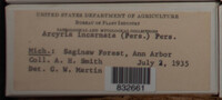 Image Associated With the Occurence